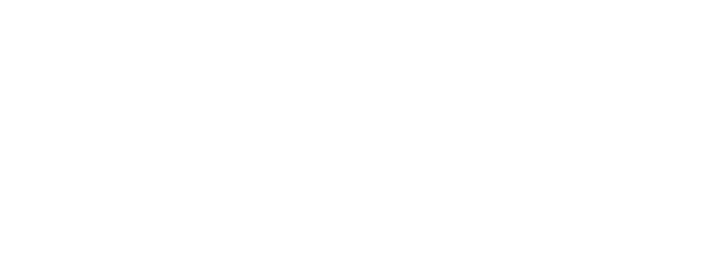 Aynicoin.org Logo
