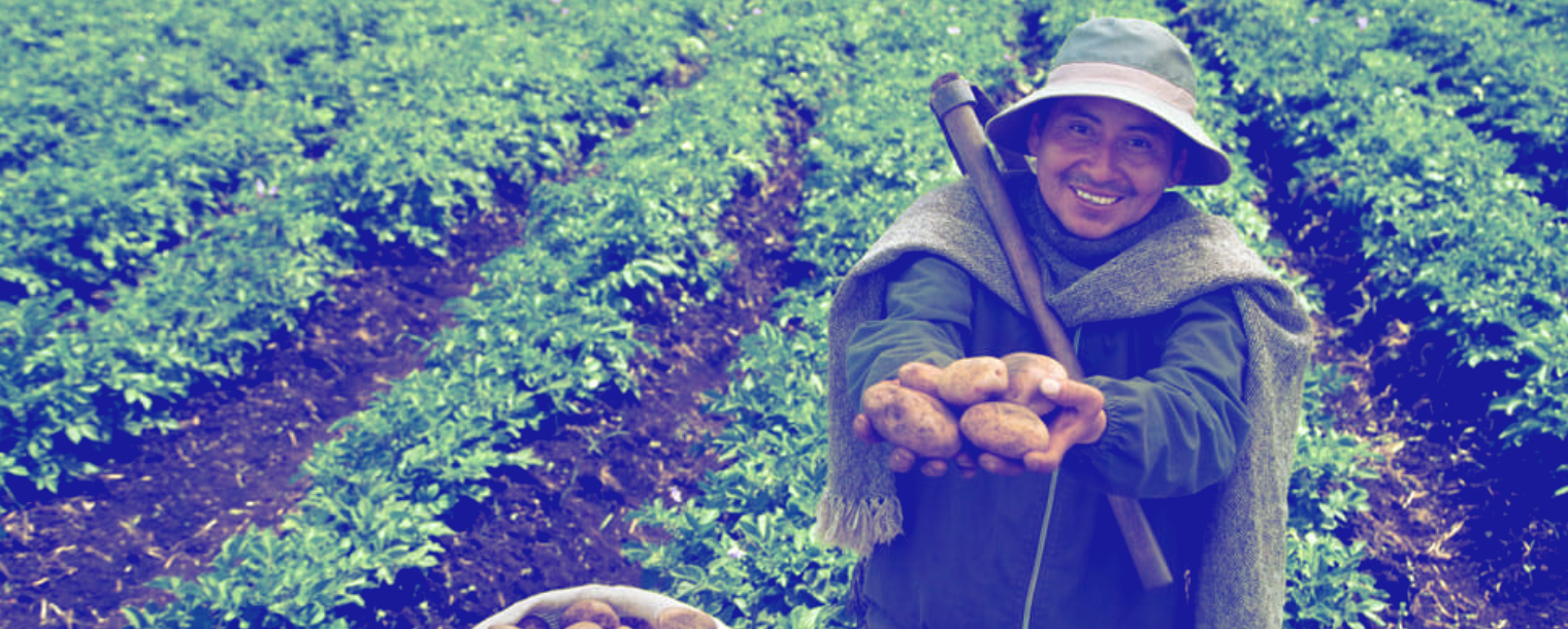 Fortaleciendo la agricultura sostenible